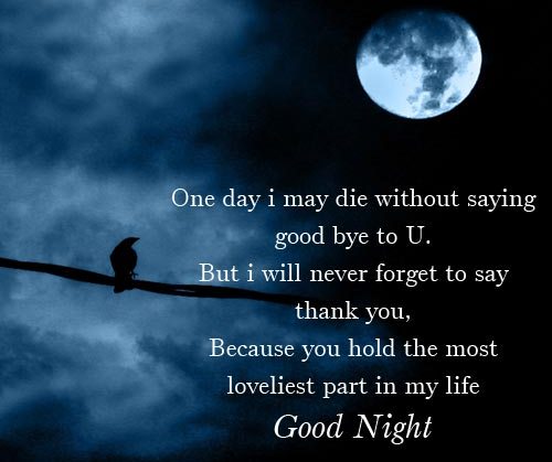 Romantic good night messages lover - Good Night messages