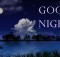 GoodNight msg images Pictures wishes