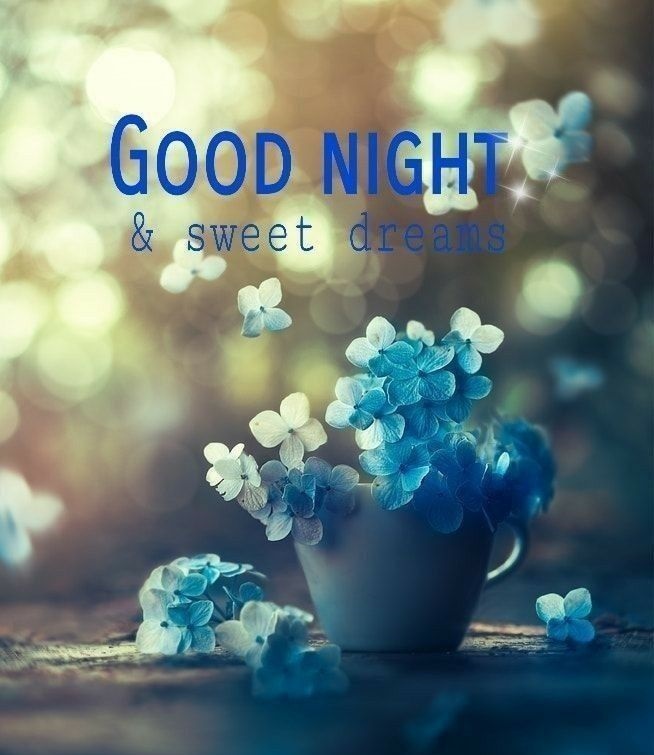 Happy Good Night Quotes is most right option to wish someone best night